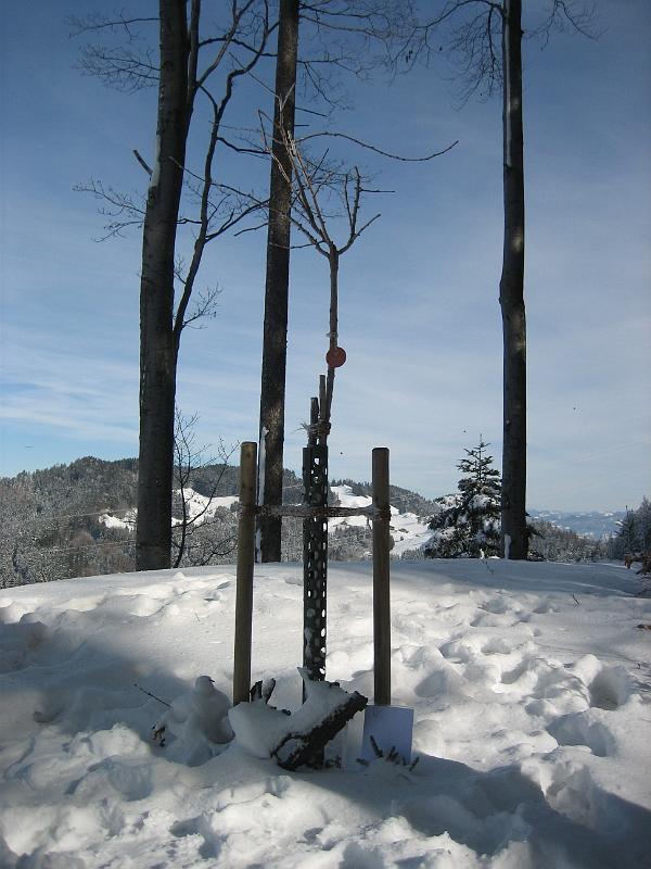 2010 02 09 B